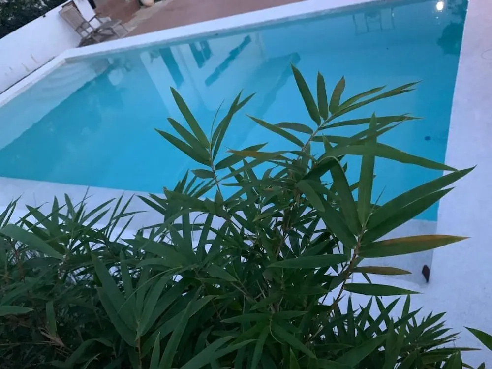 Terreza's Place