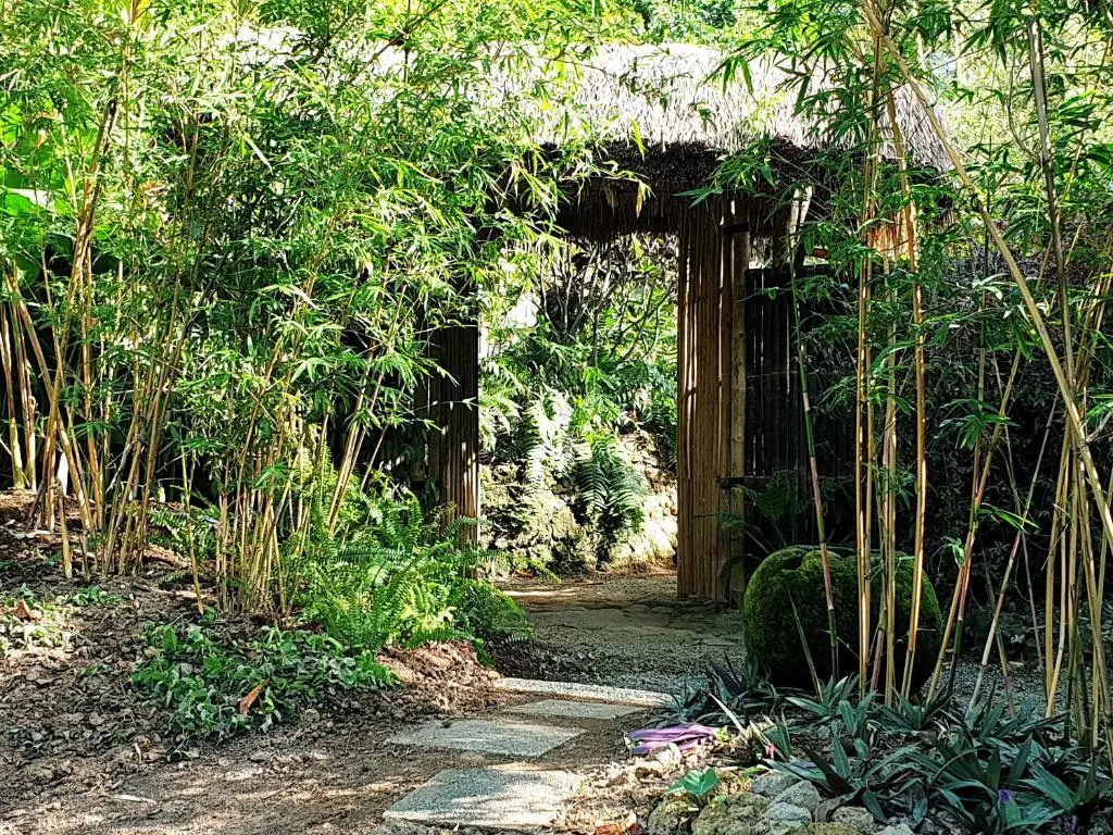 Maka-Kalinaw 5 Wabi sabi Room, Forest Deck View
