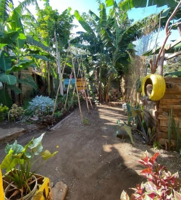 Banana shade hostel