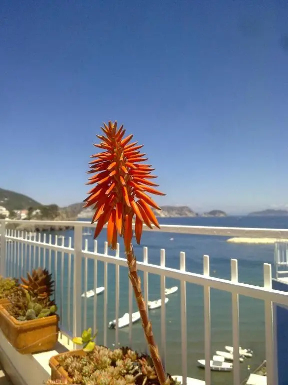 Hotel La Baia