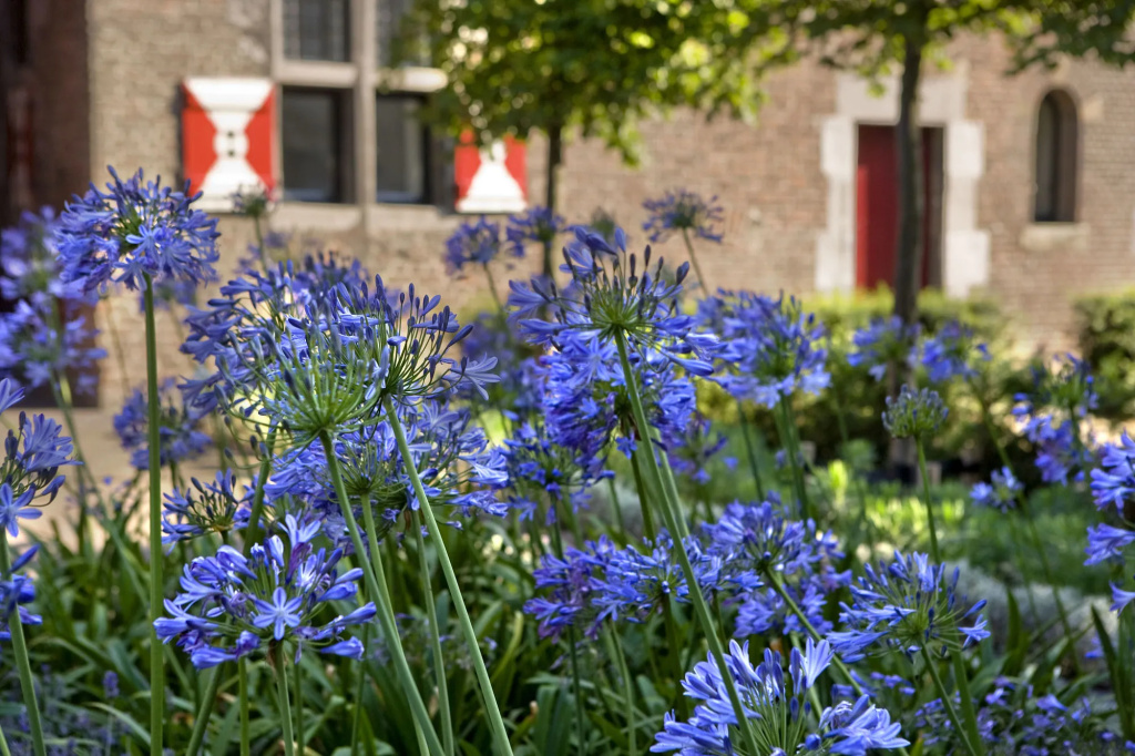 Kruisherenhotel Maastricht - Oostwegel Collection, member of Design Hotels