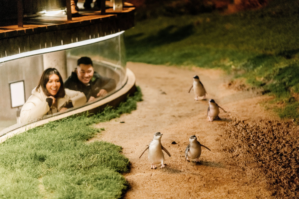 Holiday Inn Dandenong by IHG