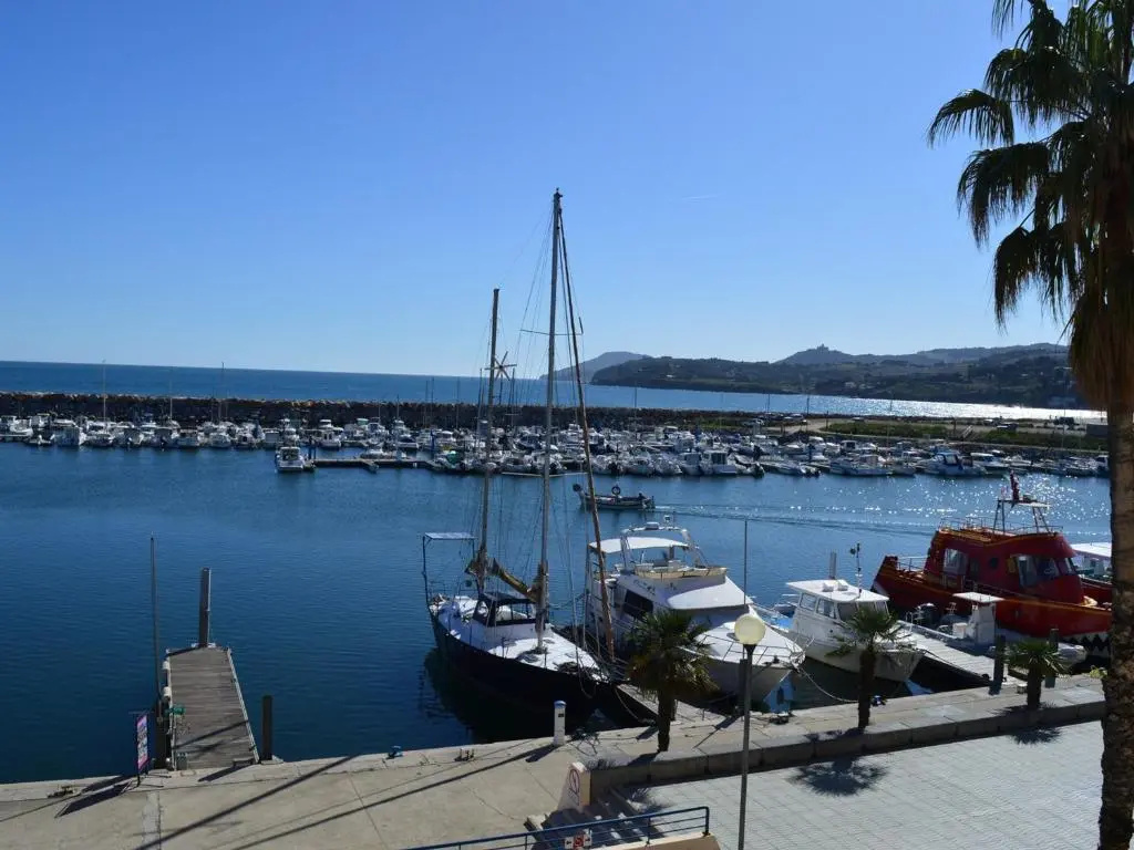 Appartement Argelès-sur-Mer, 1 pièce, 2 personnes - FR-1-225-422