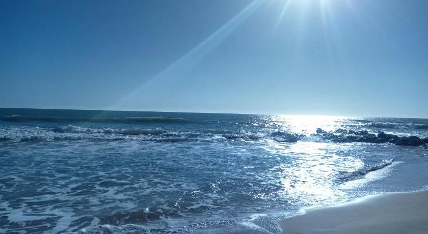 Paradialaw