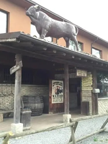 Cowboys Guest Ranch