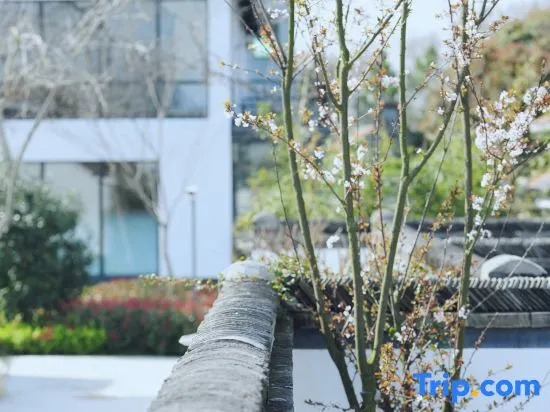 Yiyi Zhenxuan Hostel