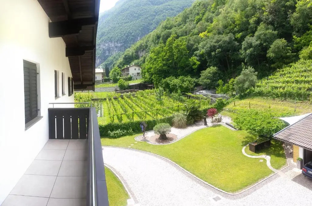 Traubenhof