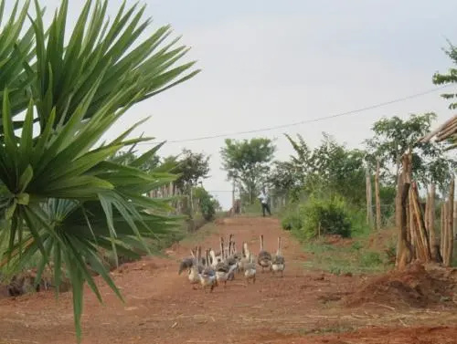 Von Fidel Ranch