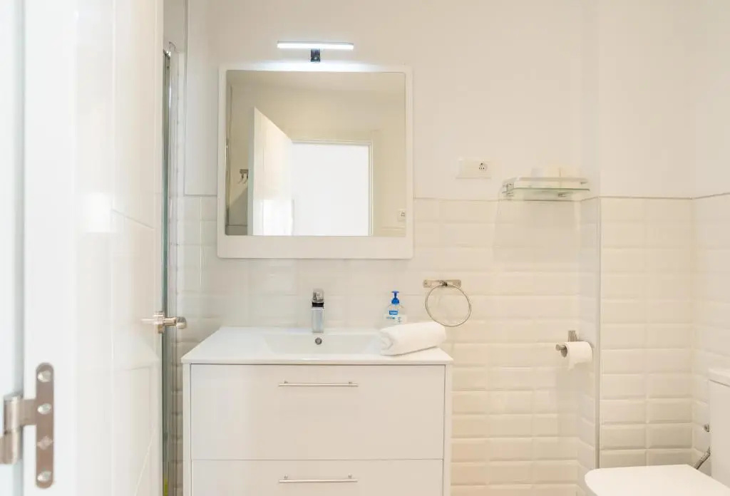 Urbe10 Plaza de la Constitucion 1 Bedroom Apartment