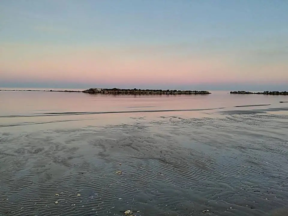 Sapore di Mare