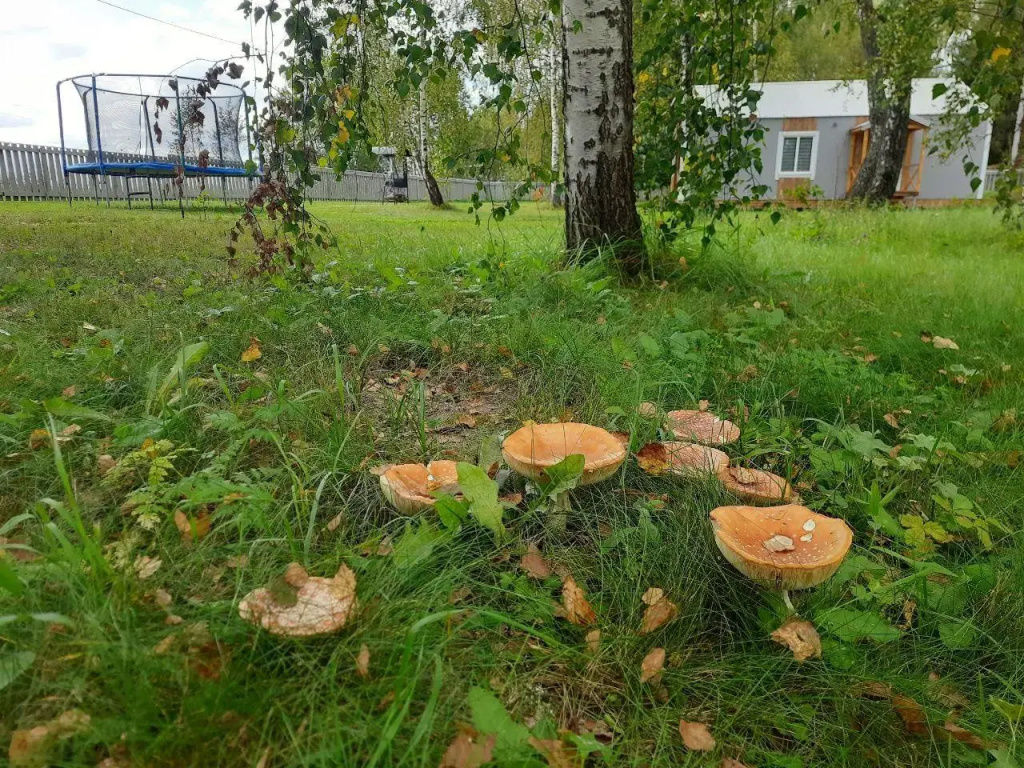 Приозерная