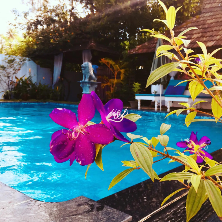 Marari Dreamz Homestay
