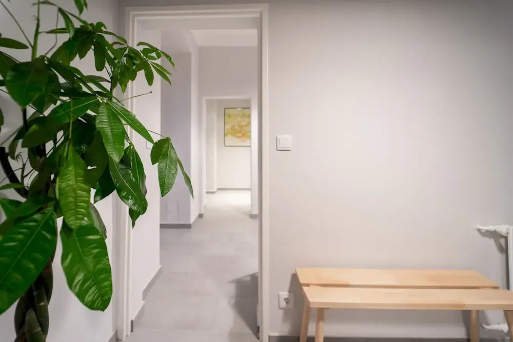 Spacious 2bdr Apt in Beautiful Neighborhood
