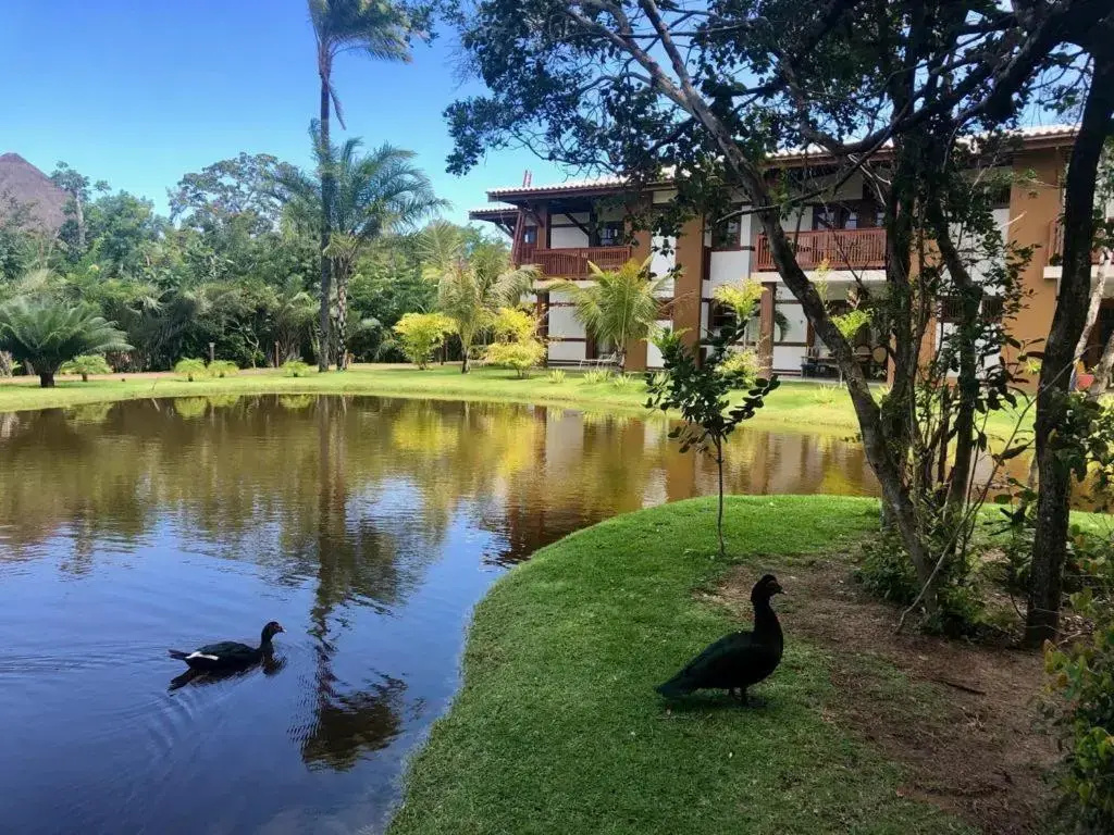 ¨Simplesmente Um Paraíso¨
