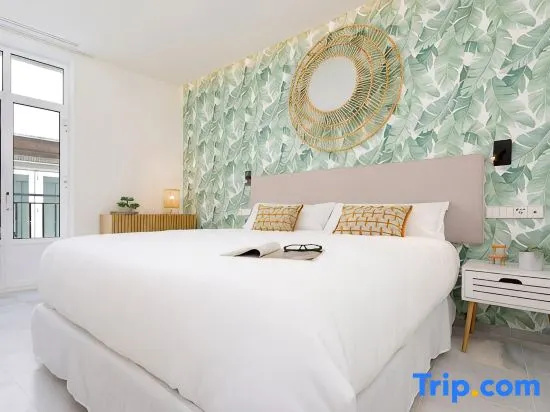 Luxury apartment in cadiz center. Catedral V
