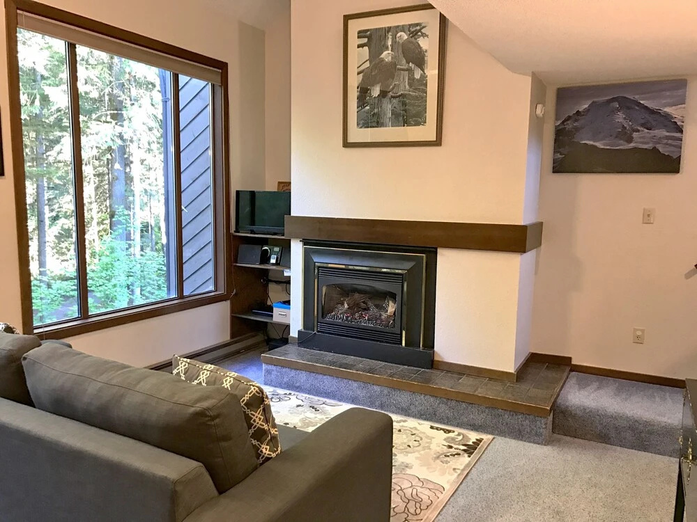 Condo - Pets OK - Fireplace, Sleeps 4!