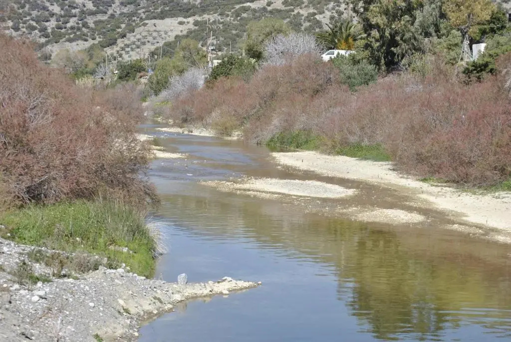 Chouzourakis Studios