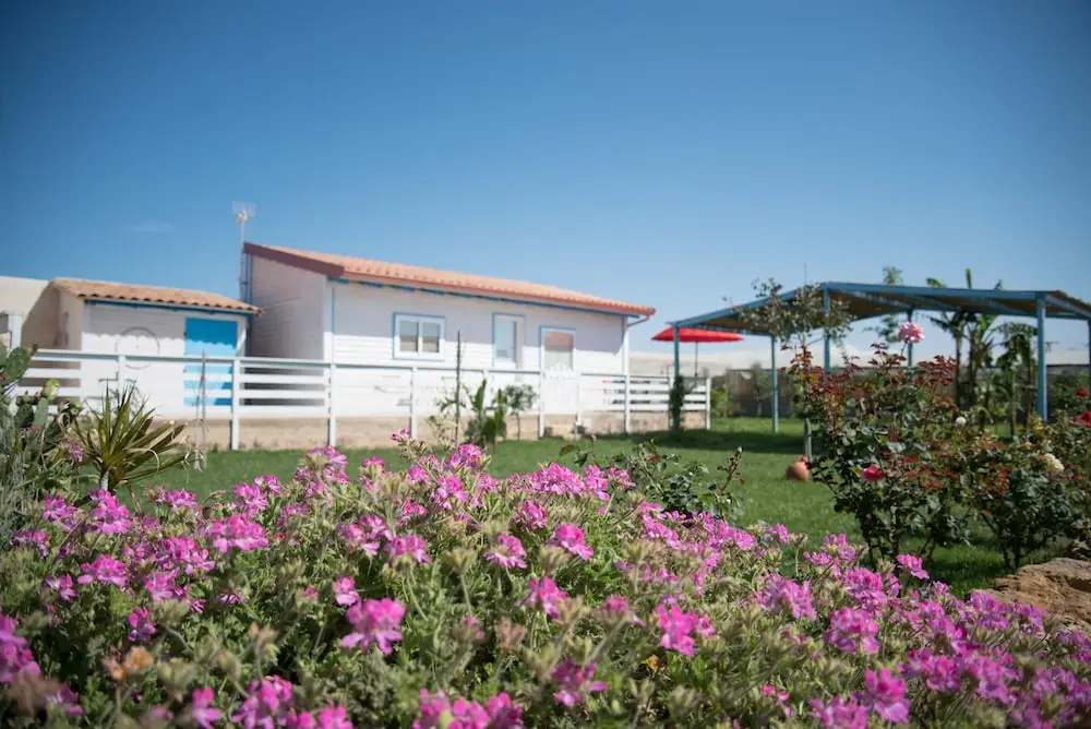 Mare Indaco