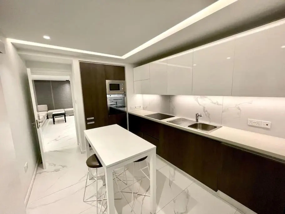 Luxury 3 Bedroom Apartment in Nicosia