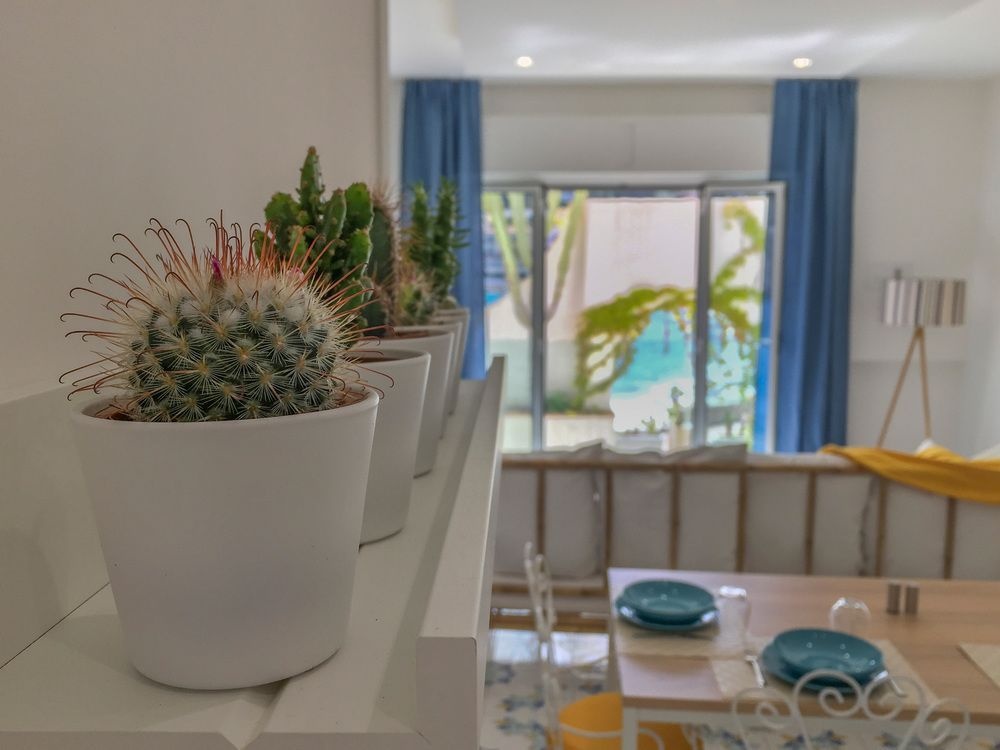 TaoApartments - Casa Salina