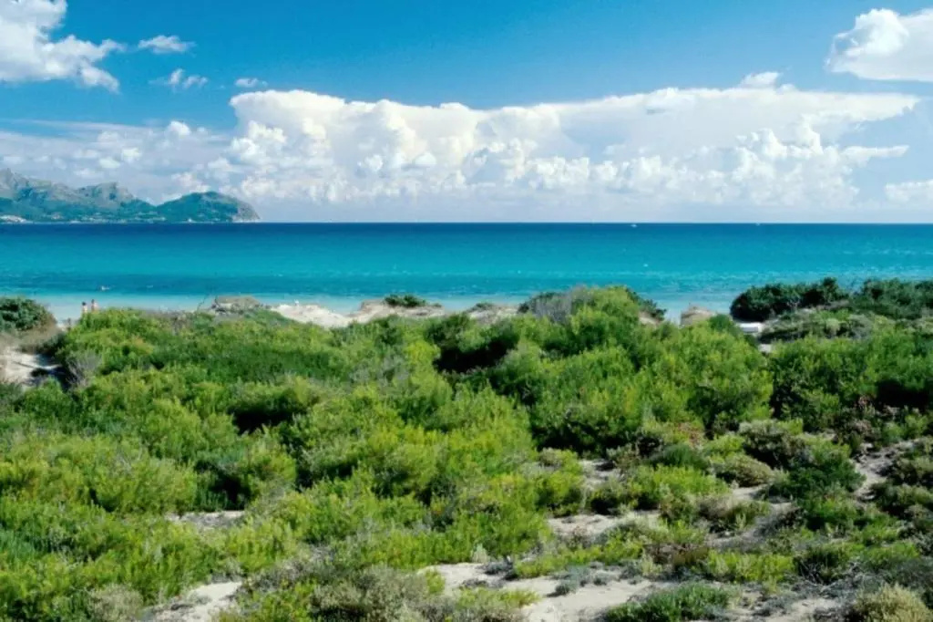 Villa Campins