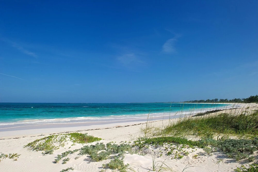 Plage Rose Estate
