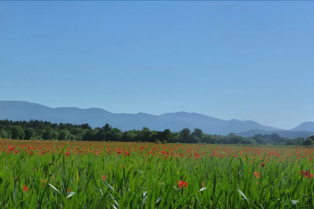 Lodges en Provence - Caravan Park