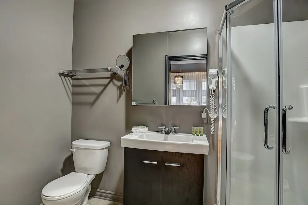 Montreal Downtown Ritz Area - Suite Studio 101