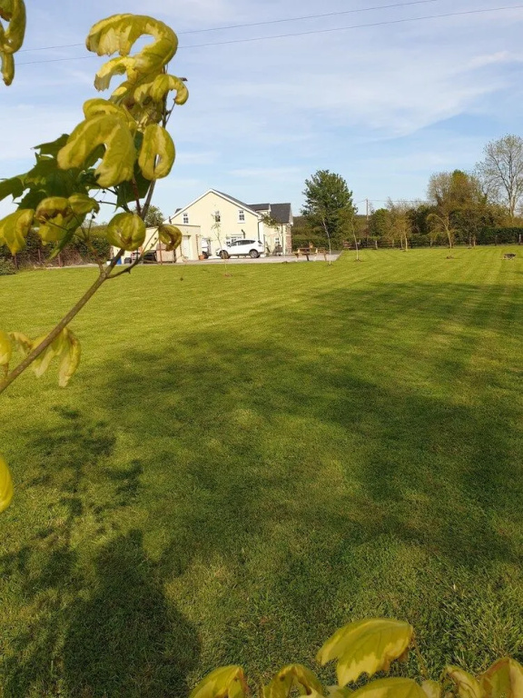 Nellies Cottage B&B