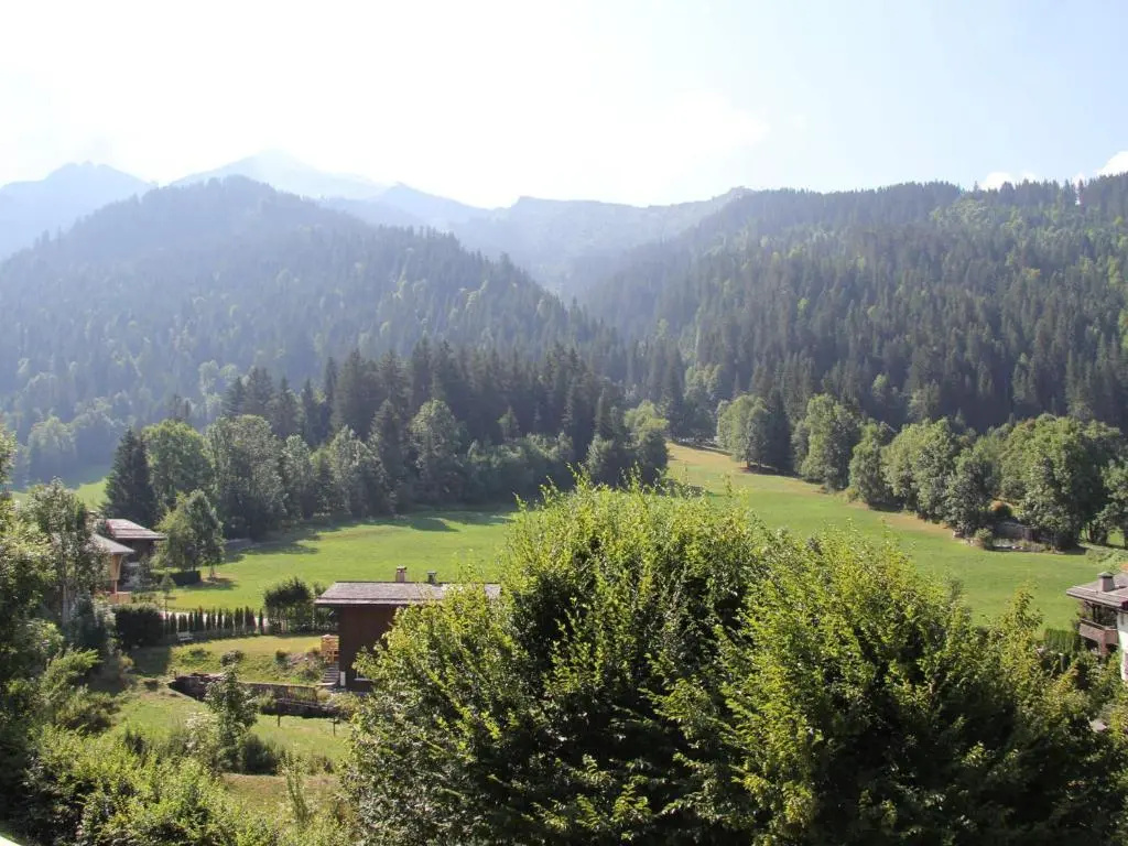 Appartement La Clusaz, 3 pièces, 6 personnes - FR-1-459-100