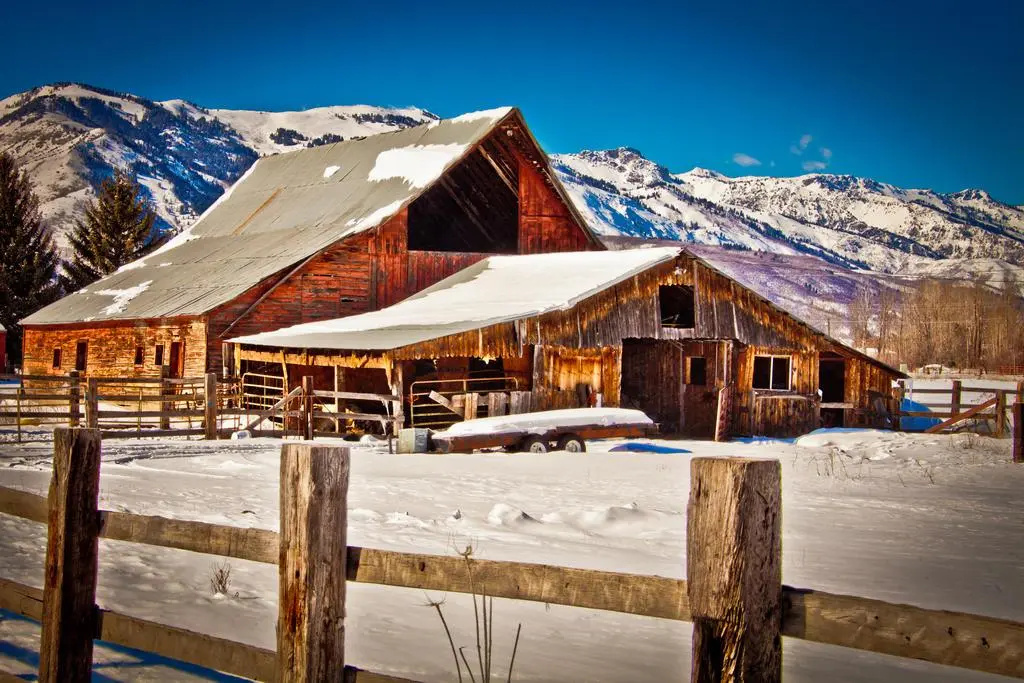 Alaskan Inn