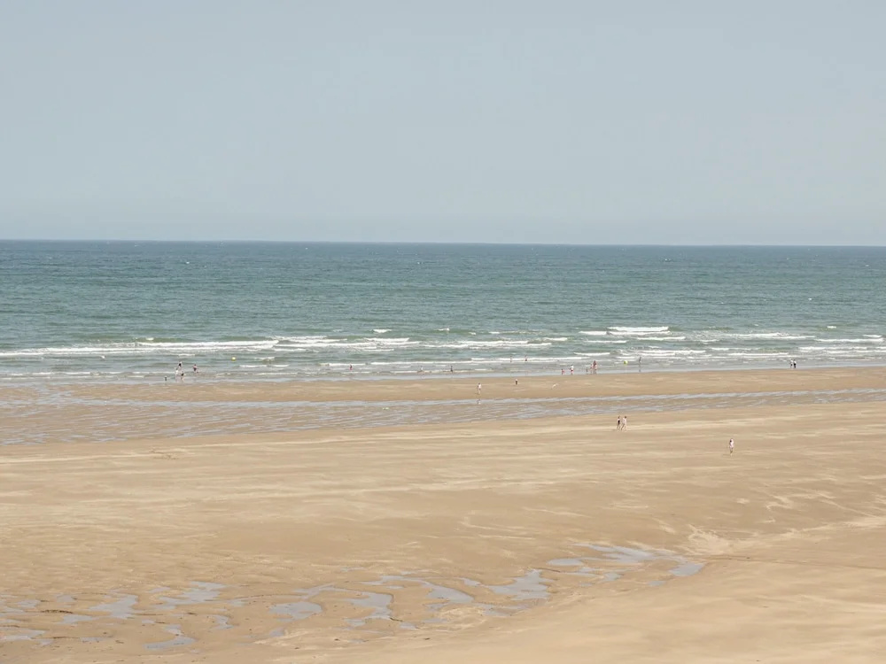 Bryn y Don