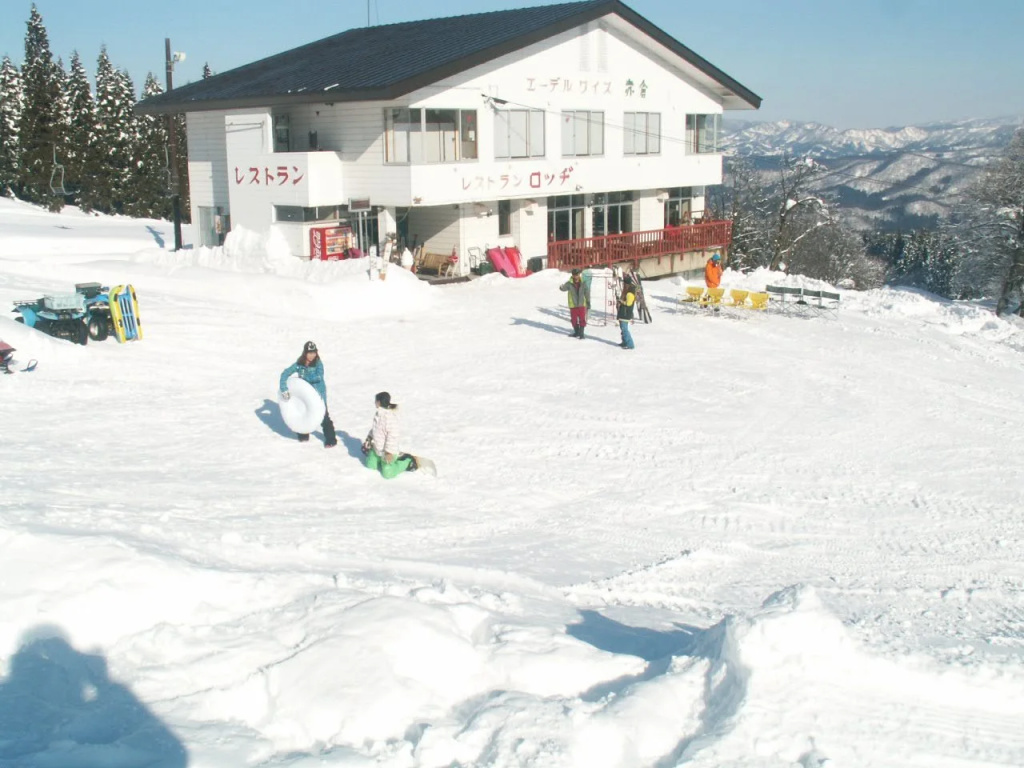 Edelweiss Akakura