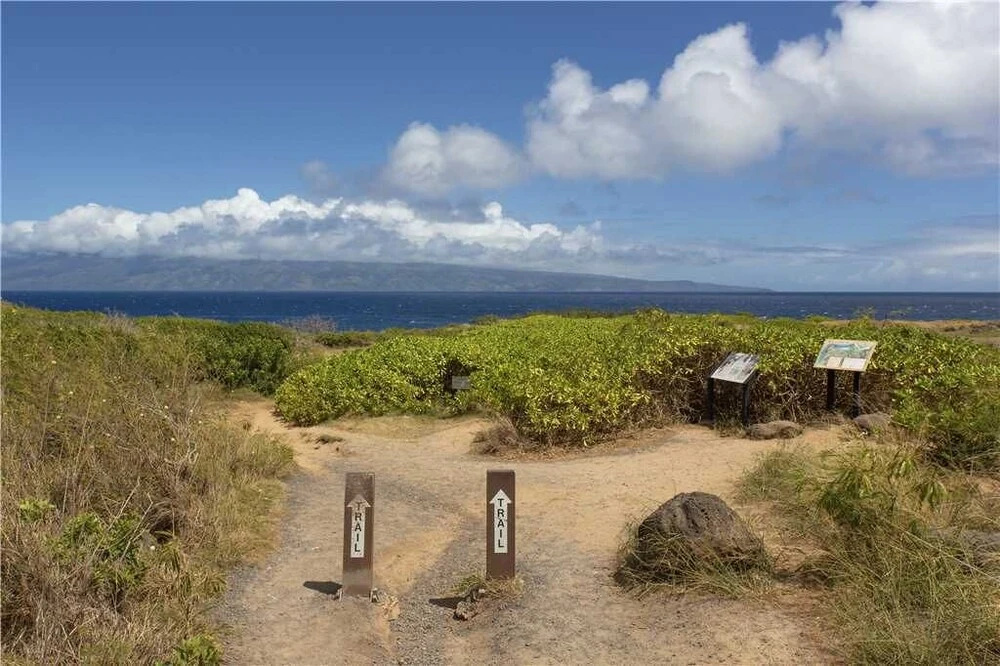 Kapalua Bay Villas 37G4 - Two Bedroom Condo