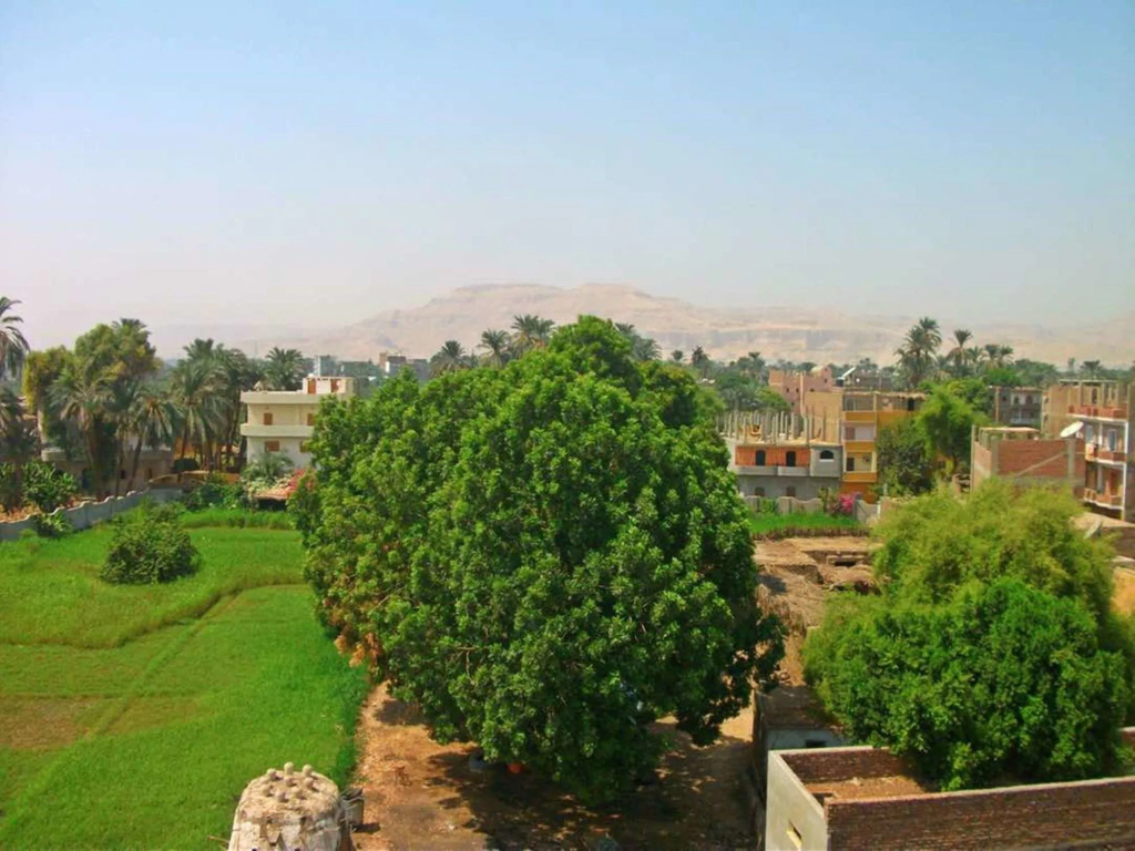 Farida Apartments