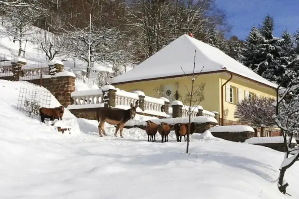 Holiday Home in Losheim am See