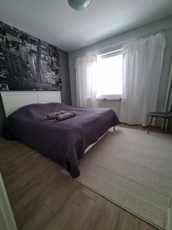 2Room apartment in Amazing place, Free parking