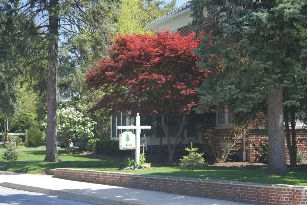 Red Lion Bed & Breakfast