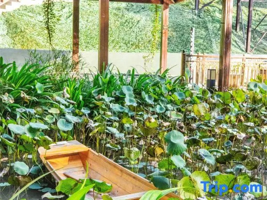 Huiya Hot Spring Boutique Hotel