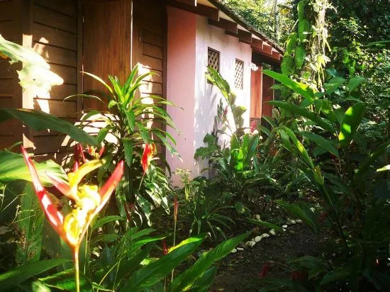 Casa Lina sloth view exotic apartment with privat kitchen