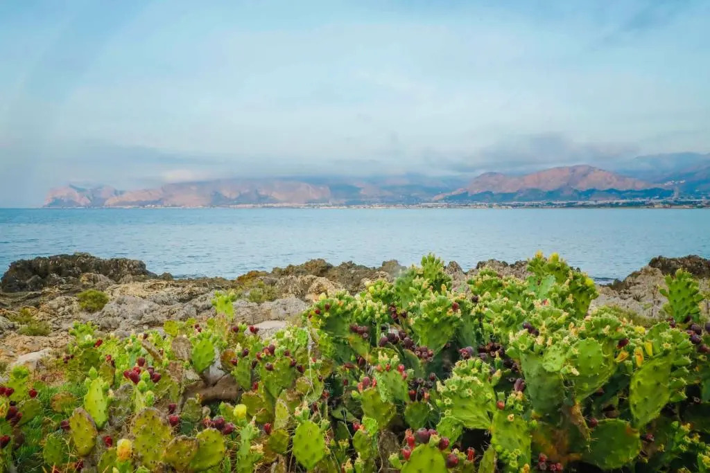 Airport sicily home palermo