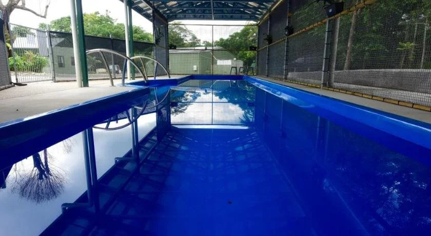 Daintree Peaks ECO Stays