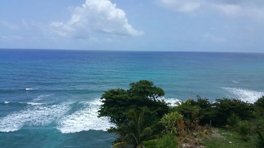 Sea Cliff Resort