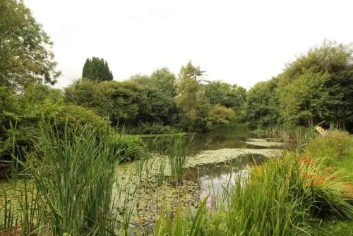 Molesworth Barn