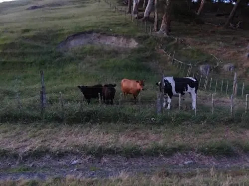 Kaweka View B&B