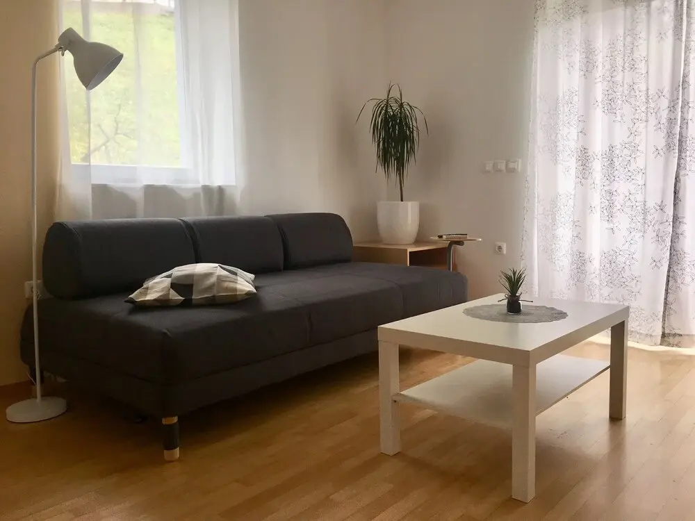 Apartment Muznik