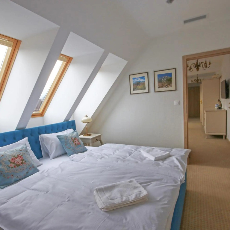 Hotel Paryski Art & Business Zakopane - Basen Jacuzzi Sauna Małpi Gaj