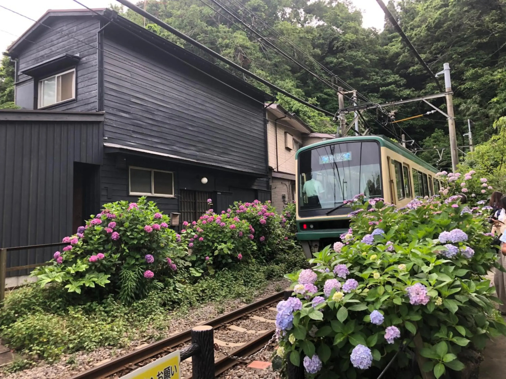 Shonan 4BR entire house&parking,戸建て独占R&L House