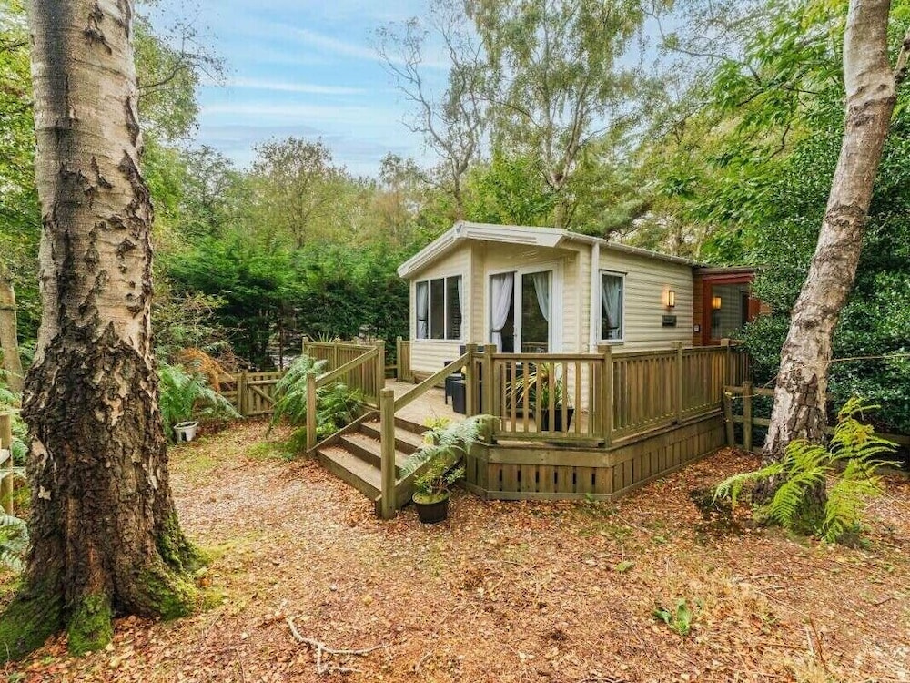 Sea Squirrel - Kelling Heath Holiday Park - 15856