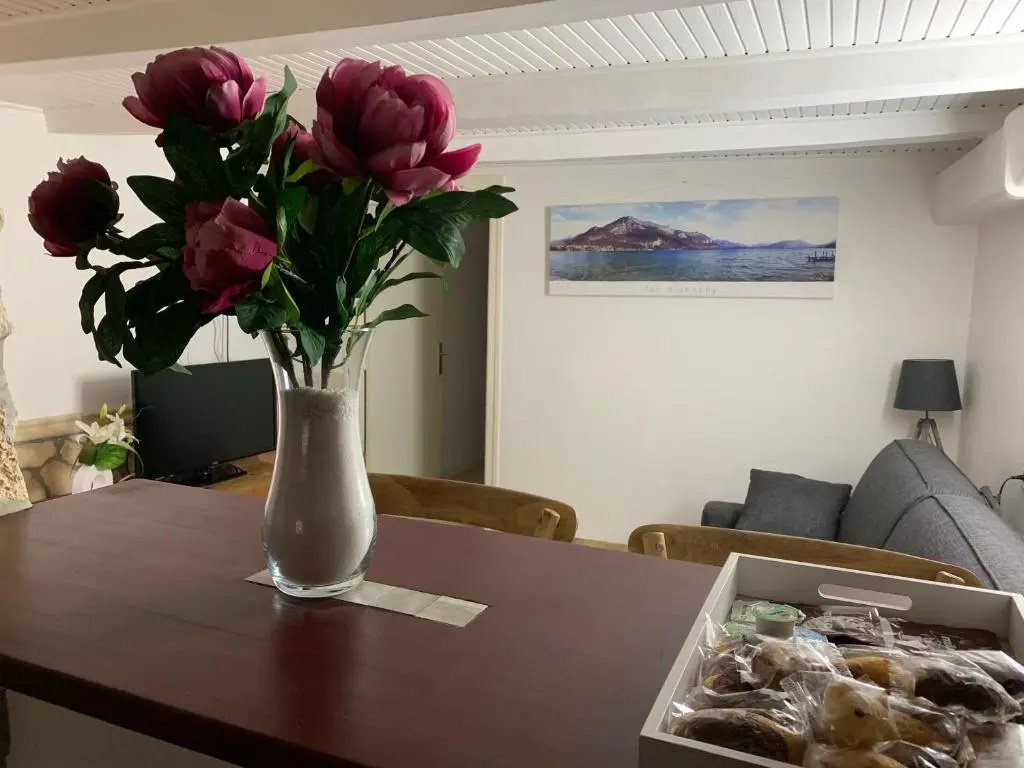 ANNECY Sainte Claire vieille ville 38m2 Terrasse proche gare et lac 4 pers 3 étoiles